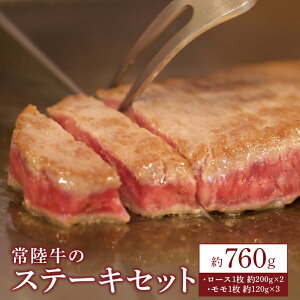 yӂ邳Ɣ[Łz헤 Xe[LZbg 760g _