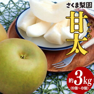 yӂ邳Ɣ[Łzܗ Ñ  { t[c ʕ 3kg Mtg p p 錧 }Ԏs