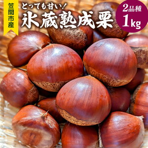 yӂ邳Ɣ[ŁzXnI 2i 1kg ƂĂÂI ӂ_ }Ԃ̌IuhF،I