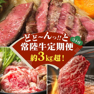 yӂ邳Ɣ[Łzy3ցz 헤 ǂǁ[Iƒ d 3kgi錧ʕԗij