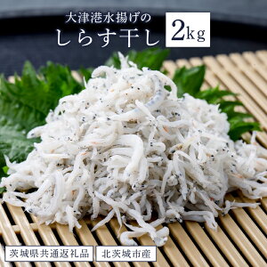 yӂ邳Ɣ[Łz炷 2kg Í` gi錧ʕԗiEksYj