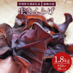 yӂ邳Ɣ[Łz炰 50g×36pbNi錧ʕԗiEsYj