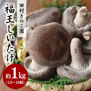 yӂ邳Ɣ[Łzys̔/2025N10{`z TCY 1kg  ő