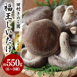 yӂ邳Ɣ[Łzys̔/10{`z `TCY 550g  ő