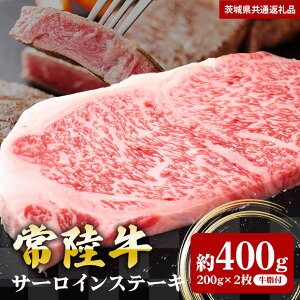 yӂ邳Ɣ[Łz헤 T[CXe[L 400g 200g×2 i錧ʕԗij