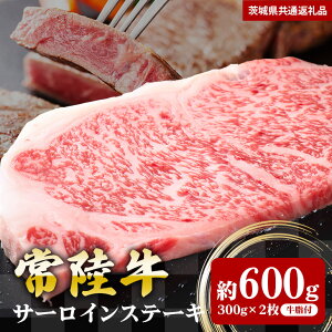 yӂ邳Ɣ[Łz헤 T[CXe[L 600g 300g×2 i錧ʕԗij