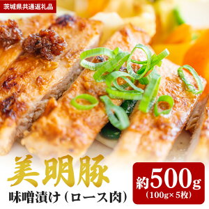 yӂ邳Ɣ[Łz  500g XЂ i錧ʕԗij