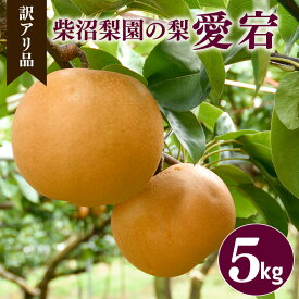 【ふるさと納税】【 訳あり 】柴沼梨園の梨（ 新高 ） 梨 5kg 大玉 6～14個入り 訳アリ 不揃い ナシ なし 国産 茨城 新高梨 秋 旬 フルーツ 果物 先行予約 【9月下旬～10月上旬発送】 秋の味覚 旬の果物 くだもの 大きい サイズ 品種 産地 茨城県産 家庭用 産地直送 送料無料