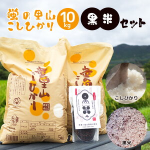 yӂ邳Ɣ[Łz ߘa7Nx V ɏドN û̗Ђ 10kg(5kg×2) 300g Zbg RVqJ  Ђ  uh   10kg  300g Y  Mtg ɂ