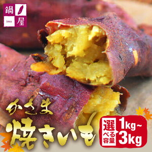yӂ邳Ɣ[ŁzĂ Iׂ 1kg - 3kg ܏Ă ܂ Ă ① ܈ Ⓚ ۑ ۑsgp Y  n ˂Ƃ Ƃ  ₫ Ă C  Y 