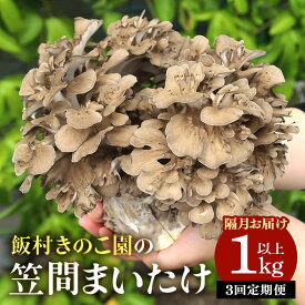 【ふるさと納税】 【3回定期便 】まいたけ 約1kg以上 飯村きのこ園の笠間まいたけ 隔月3回お届け