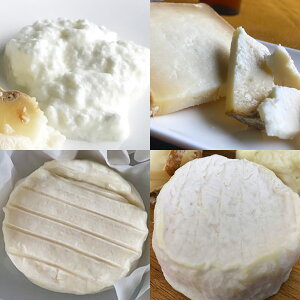 yӂ邳Ɣ[Łz傱 킹`[Y FROMAGERIE΂̂4_Zbg