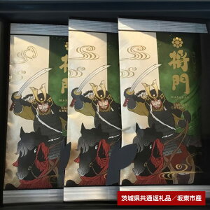 yӂ邳Ɣ[Łz炫̂ܒuv300gi錧ʕԗiEⓌsYj