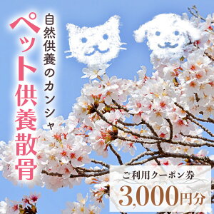 yӂ邳Ɣ[ŁzR{̃JV ybg{U pN[| 3000~