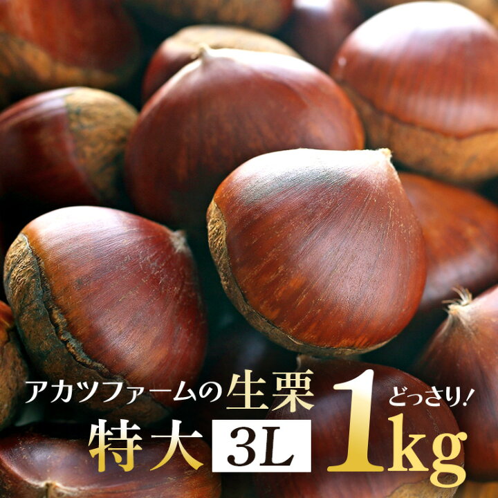 楽天市場】【ふるさと納税】アカツファームの生栗 特大 3Lサイズ 1kg 