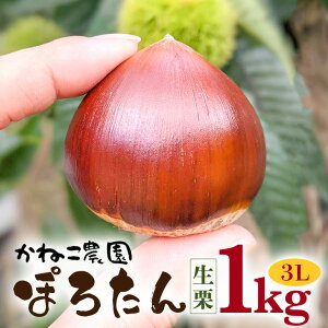 yӂ邳Ɣ[Łzy2025Ns\z }Ԃ̌IE˂_̐Iuۂ낽v1kgi3Lj I N  I 錧 }Ԏs 