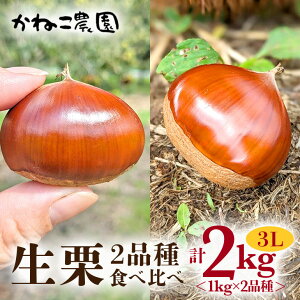 yӂ邳Ɣ[Łzy2025Ns\z }Ԃ̌IE˂_̐I@Hה1kg×2ii3Lj I N  I 錧 }Ԏs 