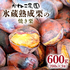 【ふるさと納税】笠間の栗・かねこ農園の焼き栗　200g×3袋 栗 クリ くり 焼栗 茨城県 笠間市 送料無料