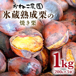 yӂ邳Ɣ[Łz}Ԃ̌IE˂_̏ĂI@200g×5 I N  ČI 錧 }Ԏs 