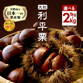 【ふるさと納税】 笠間の生栗 選べる 1kg 2kg 低温熟成 利平 2L以上 日本一 栗生産量 茨城県 栗 くり 生栗 熟成栗 大きい 大粒 茨城 国産 和栗 甘栗 栗ご飯 栗きんとん 栗おこわ 甘露煮 マロン 秋 旬 おやつ スイーツ きんとん 冷蔵 保存料不使用 無添加 笠間市 送料無料