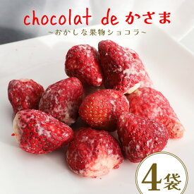 【ふるさと納税】Chocolat de かさま おかしな果実ショコラ 完熟とちおとめの詰め合わせ