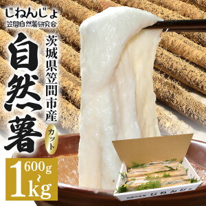 yӂ邳Ɣ[Łz}ԎR̎RJbg Iׂ 600g 800g 900g 1kg R  R Ƃ Ƃ낲  ˂΂˂ NHi e }ԎsY 錧Y h{Ղ Mtgɍ