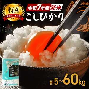 yӂ邳Ɣ[ŁzRVqJ  Iׂ 5kg 10kg  30kg (3) 60kg (6) V ߘa7NY A   Ђ Y ͂  R  ٓ ٓ ɂ _ƒ Yn