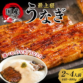 【ふるさと納税】うなぎ 蒲焼 国産 選べる 鰻 うなぎと出汁とろろ うなとろ 2人前 3人前 4人前 440g 660g 880g 土用の丑の日 丑の日 冷凍 真空パック ギフト プレゼント 贈答 贈り物 うなぎの量深 笠間市 茨城県 いばらき