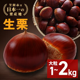【ふるさと納税】【2025年 秋 出荷】生栗 栗 選べる 1kg 2kg 特大 3L 以上 数量限定 国産 和栗 くり スイーツ 果物 フルーツ 栗きんとん モンブラン 栗ご飯 秋 旬 カサマロン 生産量 日本一 笠間 かさま ギフト プレゼント いばらき