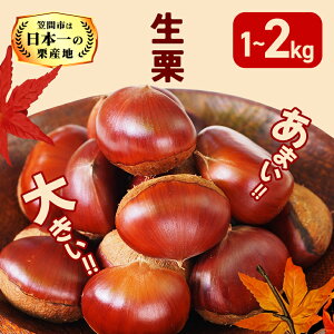 yӂ邳Ɣ[Łzy2025N H oׁzI I Iׂ 1kg 2kg  3L ȏ ʌ Y aI  XC[c ʕ t[c IƂ u I H { JT} Y { } 