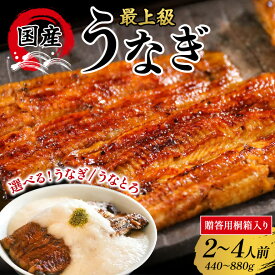 【ふるさと納税】【桐箱入り 贈答用】うなぎ 蒲焼 国産 選べる 鰻 うなぎと出汁とろろ うなとろ 2人前 3人前 4人前 土用の丑の日 丑の日 冷凍 真空パック ギフト プレゼント 贈答 贈り物 うなぎの量深 笠間市 茨城県 いばらき