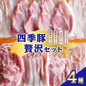yӂ邳Ɣ[ŁzlG ґZbg ؂胍[X4 (Ƃ񂩂p) ؂胍[X200g×2 oXCX200g×2 J^[X200g×2