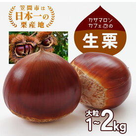 【ふるさと納税】【2025年 秋 出荷】生栗 栗 選べる 1kg 2kg 特大 3L 以上 数量限定 国産 和栗 くり スイーツ 果物 フルーツ 栗きんとん モンブラン 栗ご飯 秋 旬 カサマロン 生産量 日本一 笠間 かさま ギフト プレゼント いばらき