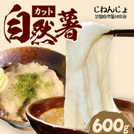 【ふるさと納税】自然薯 カット 約600g 笠間自然薯研究会 自然薯 長芋 山芋 とろろ とろろご飯 野菜 ねばねば 健康食品 美容効果 笠間市産 茨城県産 栄養たっぷり ギフトに最適 新鮮 国内生産 高級根菜 美容 健康 美味しい 産地直送 滋養強壮