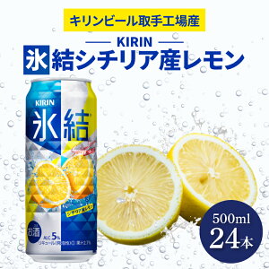 yӂ邳Ɣ[ŁzLr[HY XV`AY500ml×24{|KIRIN i `[nC X XV`AY 錧 siAB029-2j