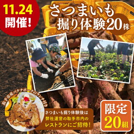 【ふるさと納税】【20組限定！】11/24開催！　さつまいも掘り体験と取手市内レストランで味わう取手市産バナナポークのランチ（AS011）