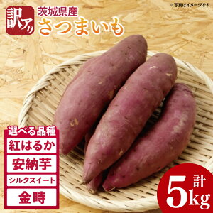 【ふるさと納税】【2025年11月より順次発送】【数量限定】【選べる品種】訳アリ 茨城県産さつまいも 約5kg|さつまいも 芋 サツマイモ 紅はるか 訳あり わけあり 先行予約 茨城県 取手市(AS0