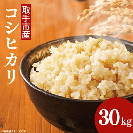 【ふるさと納税】【令和7年度産】取手市産 コシヒカリ 玄米30kg | 米 玄米 こしひかり JA 茨城県 取手市 （AR003）