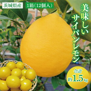 yӂ邳Ɣ[Łz錧Y@TCp@12@1.5kgiBD001j