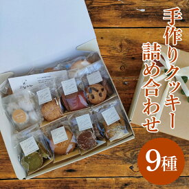 【ふるさと納税】手作りクッキー 9種詰め合わせ(11点入)│ 焼き菓子 クッキー セット（BG004）