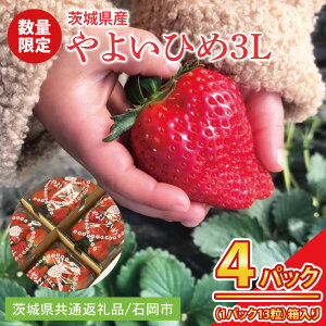 yӂ邳Ɣ[Łzys\zy2026N2菇z 悢Ђ3L 4pbNy錧ʕԗi^Ήsz t[c ʕ ʌ 錧iBK002j