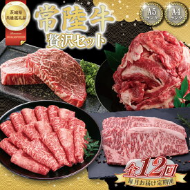 【ふるさと納税】【12回定期便】最高級A4.5ランク常陸牛 贅沢セット【茨城県共通返礼品】│常陸牛 ひたち牛 牛肉 ロース 肩ロース スライス もも ステーキ すき焼き しゃぶしゃぶ 定期便 茨城県 取手市（BN014）