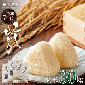 yӂ邳Ɣ[ŁzyʌzR7NY VăRVqJ 30kg|  Ђ RVqJ V  錧 siBQ002j