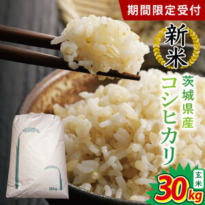 yӂ邳Ɣ[ŁzyʌzRVqJ@30kg|  Ђ 錧 siBY001j