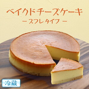 yӂ邳Ɣ[ŁzxCNh `[YP[L i Xt ^Cvj 6 × 1 z[P[L ① XC[c fU[g َq mَq P[L Ăَq `[Y Xt `[YP[L RN Ƃ V