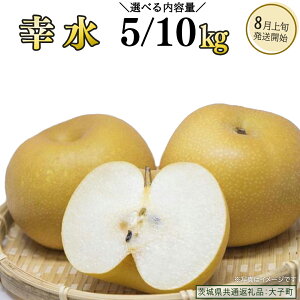 yӂ邳Ɣ[Łzs Iׂ e t K 5kg / 10kgy2026N8{Jnz(錧ʕԗiFq)  Ȃ ʕ  t[c