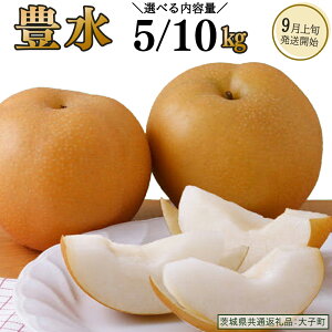 �y�ӂ邳�Ɣ[�Łz�s �I�ׂ� ���e�� �t �L�� ��5kg / ��10kg �y2026�N9����{�����J�n�z(��錧���ʕԗ�i�F��q��) �� �Ȃ� �ʕ� �������� �t���[�c