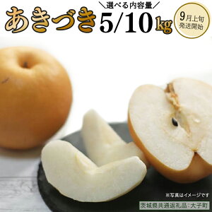 �y�ӂ邳�Ɣ[�Łz�s �I�ׂ� ���e�� �t �����Â� ��5kg / ��10kg �y2026�N9����{�����J�n�z(��錧���ʕԗ�i�F��q��) �H�� �� �Ȃ� �ʕ� �������� �t���[�c