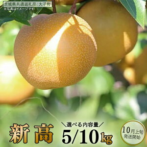 �y�ӂ邳�Ɣ[�Łz�s �I�ׂ� ���e�� �t �V�� ��5kg / ��10kg �y2026�N10����{�����J�n�z(��錧���ʕԗ�i�F��q��) �� �Ȃ� �ʕ� �������� �t���[�c �ɂ�����