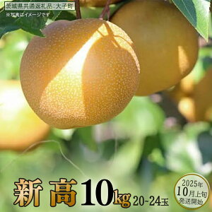 yӂ邳Ɣ[Łzs Iׂ e t V 5kg / 10kg y2025N10{Jnz(錧ʕԗiFq)  Ȃ ʕ  t[c ɂ